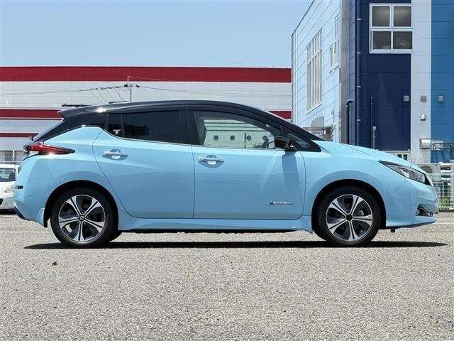 Nissan LEAF 2019 7234721-22