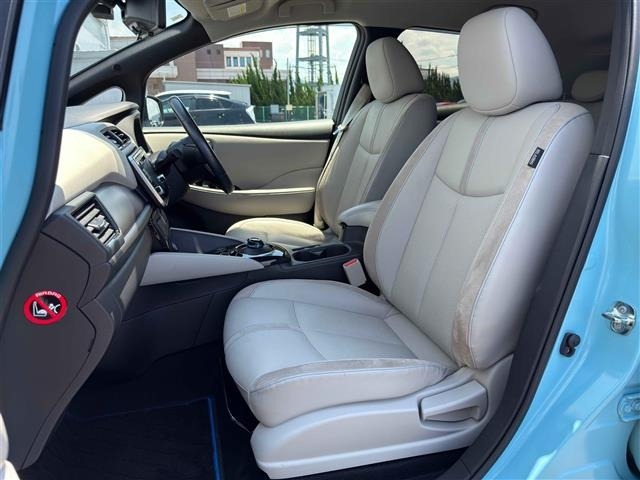 Nissan LEAF 2019 7234721-7