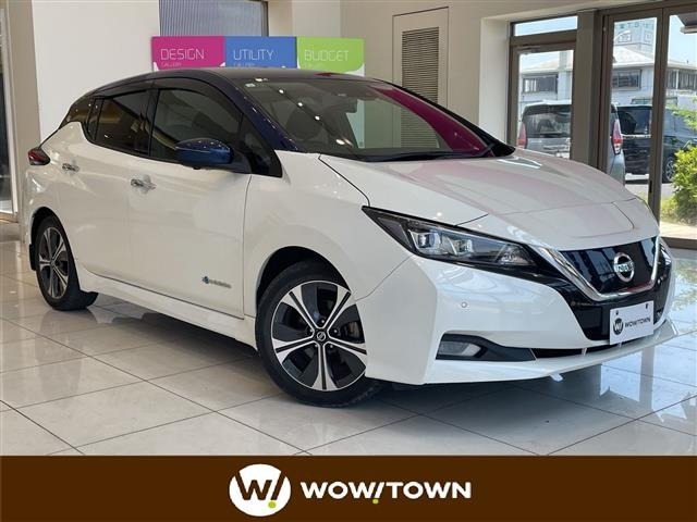 Nissan LEAF 2021 7234727-0
