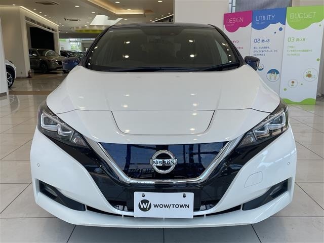 Nissan LEAF 2021 7234727-22