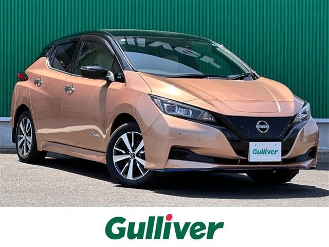 Nissan LEAF 2022 7234728-0