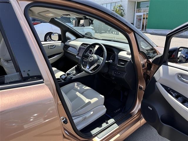 Nissan LEAF 2022 7234728-9