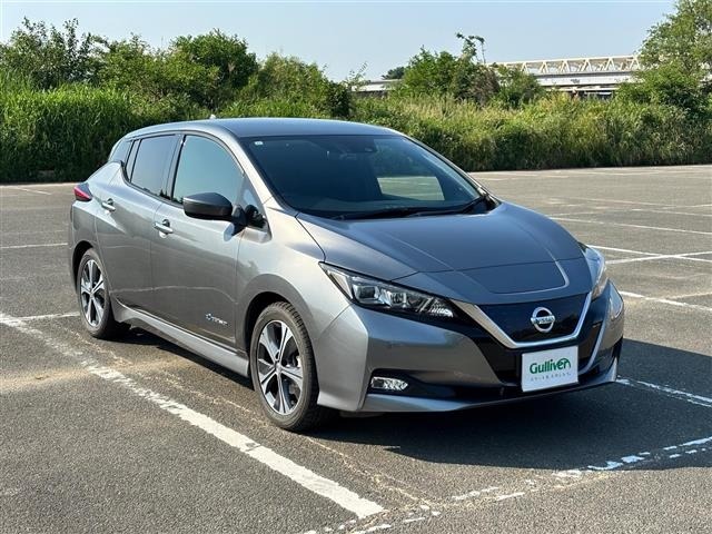 Nissan LEAF 2017 7234729-0