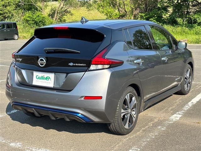 Nissan LEAF 2017 7234729-4