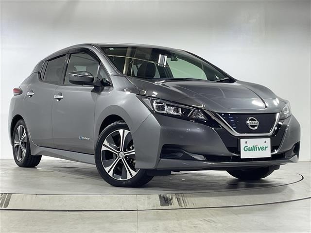 Nissan LEAF 2018 7234732-0