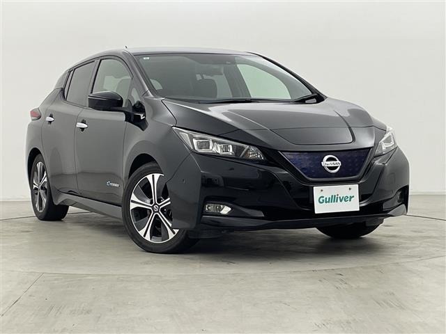 Nissan LEAF 2019 7234733-0