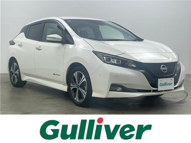 Nissan LEAF 2021 7234734-0