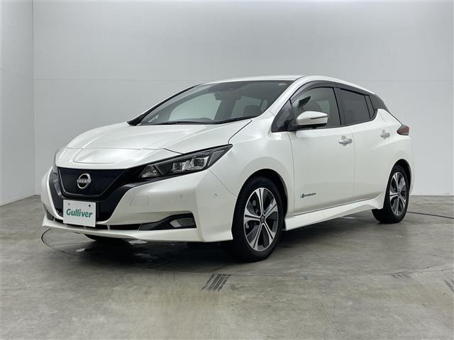 Nissan LEAF 2021 7234734-22