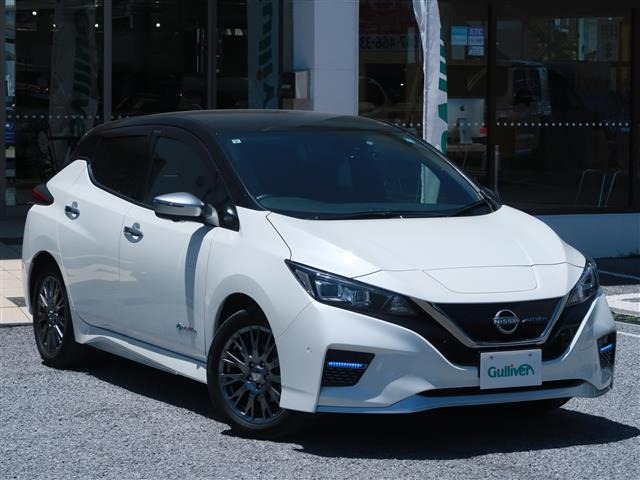 Nissan LEAF 2021 7234743-0