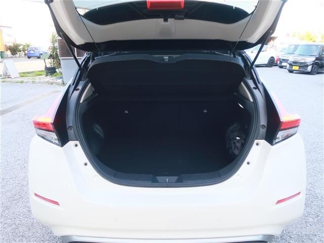 Nissan LEAF 2021 7234743-2