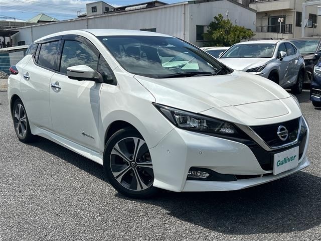 Nissan LEAF 2019 7234746-0
