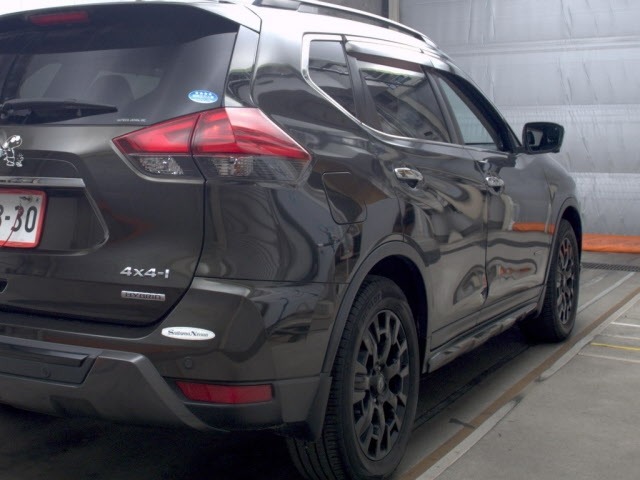 Nissan X-TRAIL 2019 7235244-5