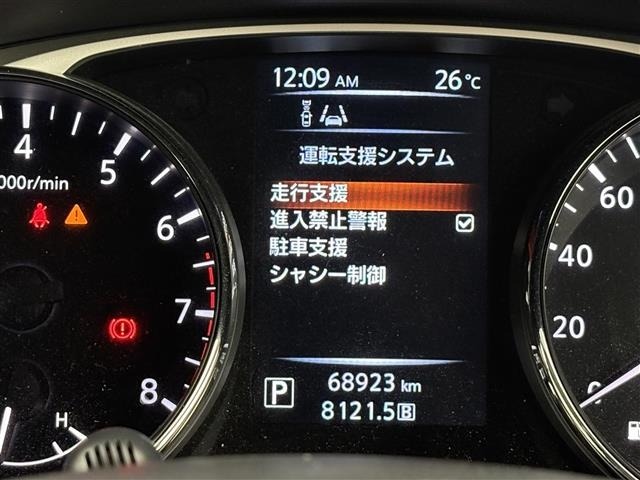 Nissan X-TRAIL 2015 7236326-21