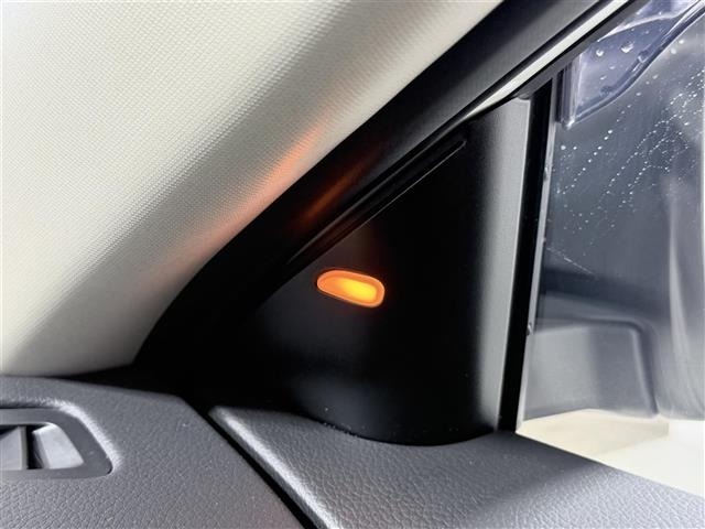 Nissan X-TRAIL 2021 7236348-19