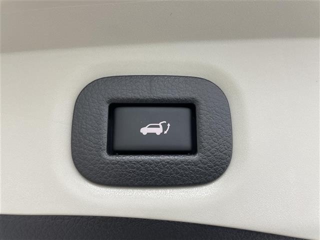 Nissan X-TRAIL 2018 7236349-21