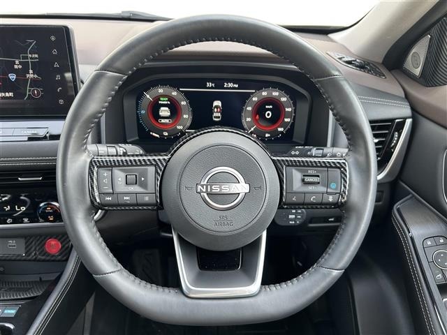 Nissan X-TRAIL 2023 7236351-21
