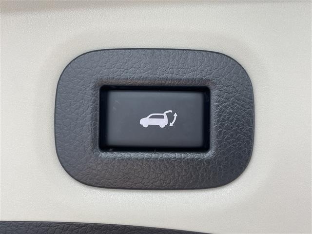 Nissan X-TRAIL 2019 7236363-17