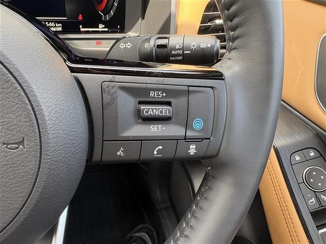 Nissan X-TRAIL 2025 7236366-7