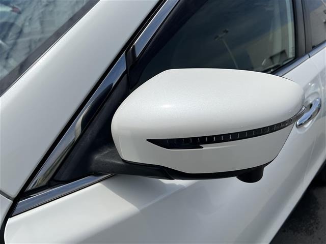 Nissan X-TRAIL 2019 7236368-15