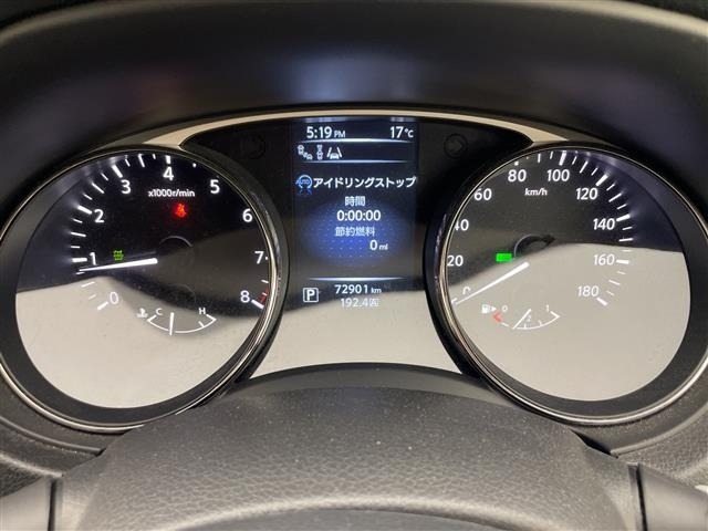 Nissan X-TRAIL 2014 7236373-9