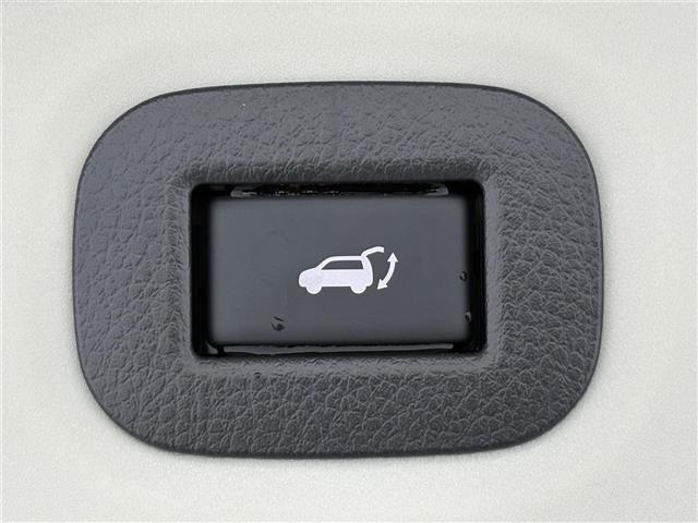 Nissan X-TRAIL 2019 7236381-3