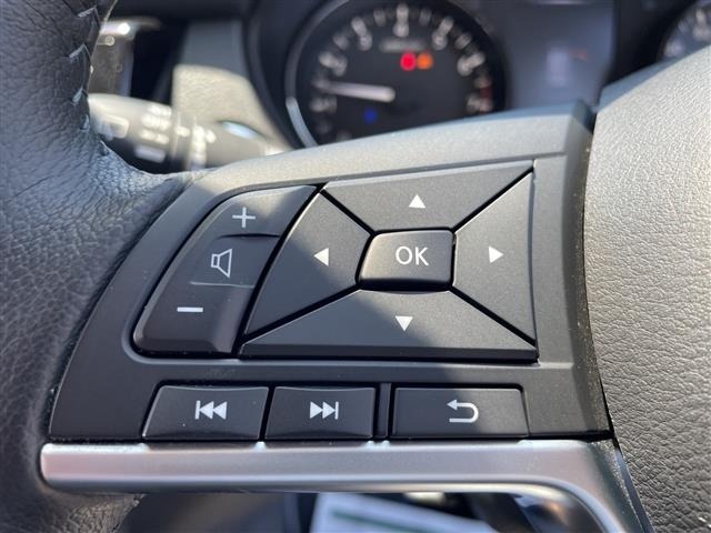 Nissan X-TRAIL 2021 7236397-19