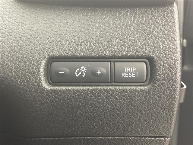 Nissan X-TRAIL 2019 7236403-4