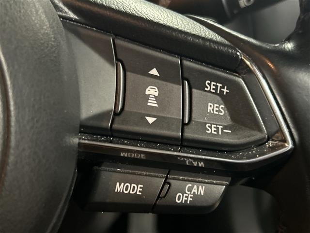 Mazda AXELA 2017 7242746-19