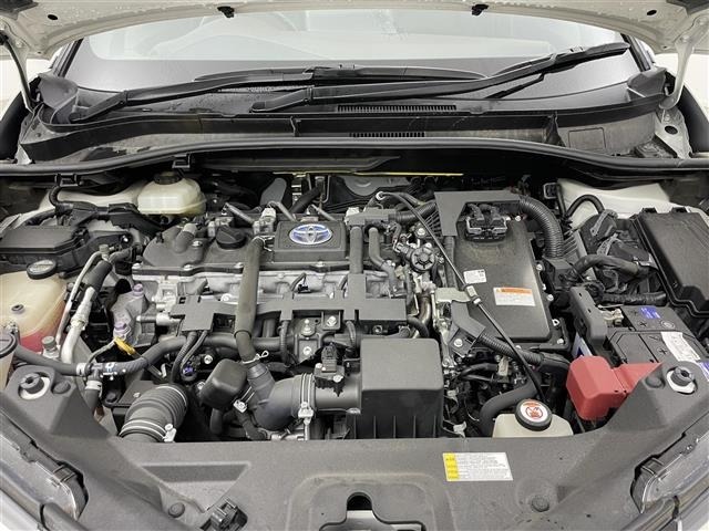 Toyota C-HR 2017 7255829-4