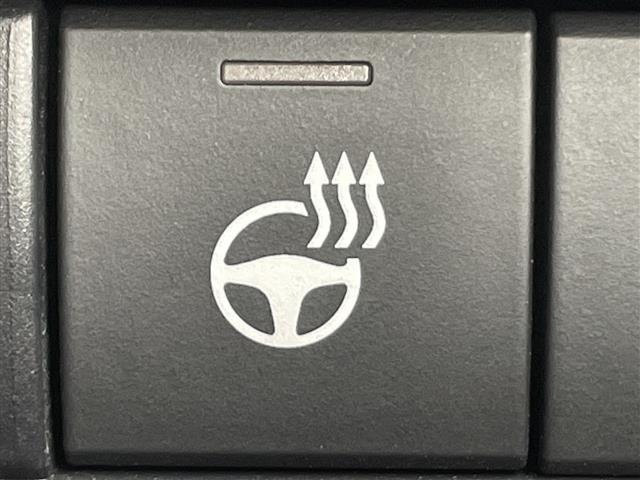 Toyota HARRIER 2021 7240209-3