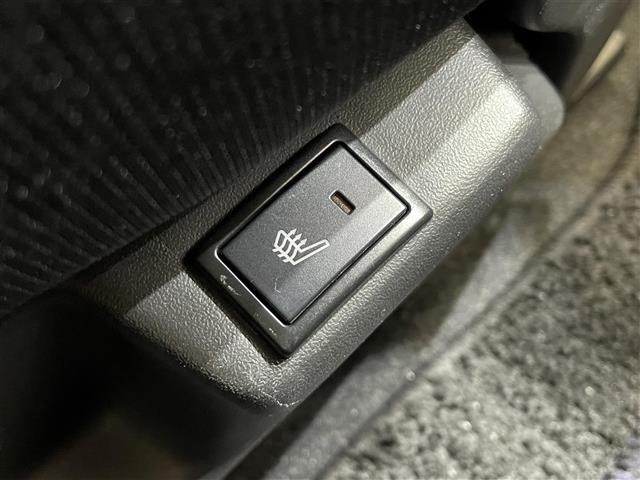 Suzuki SOLIO 2017 7236731-20