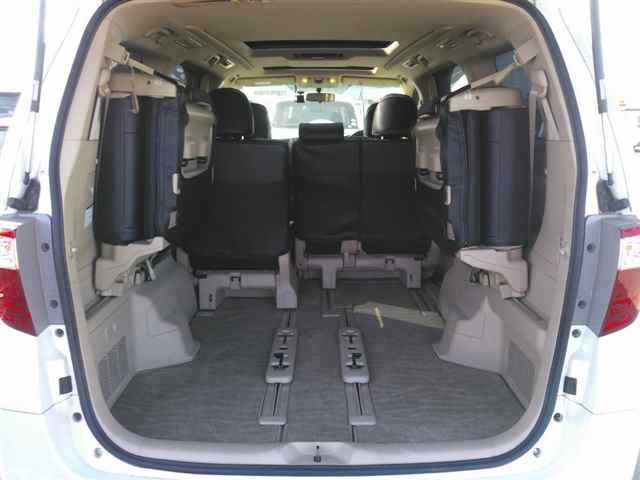 Toyota ALPHARD 2009 7268381-10