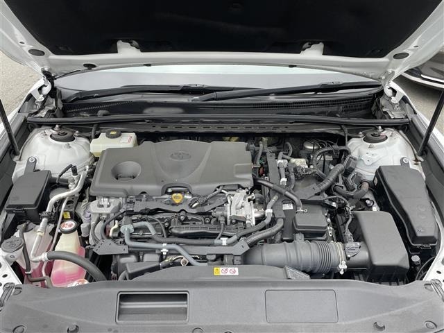Toyota CAMRY 2019 7256691-14