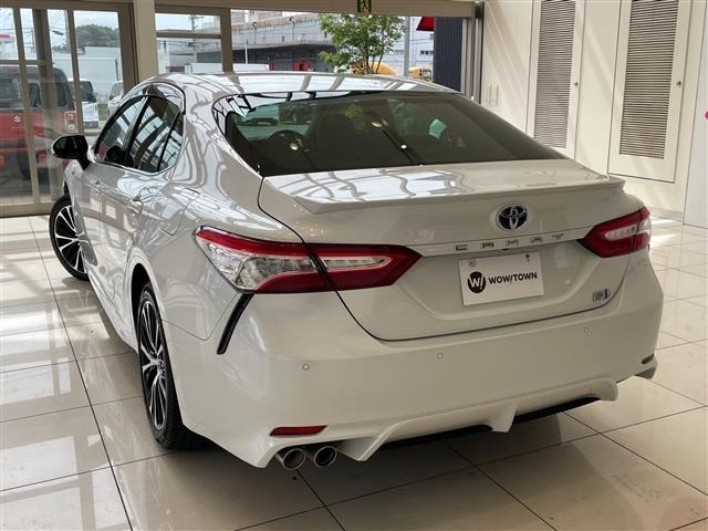 Toyota CAMRY 2019 7256724-13