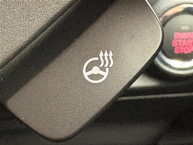Subaru FORESTER 2021 7262863-8