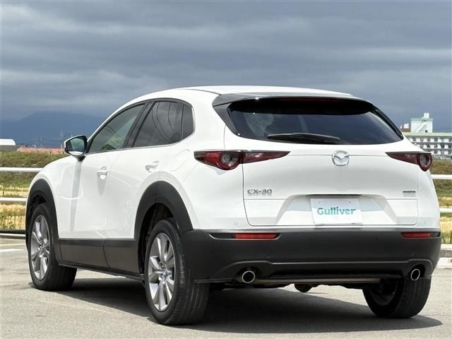 Mazda CX-30 2020 7279985-14