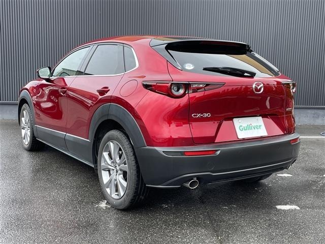 Mazda CX-30 2021 7280003-6