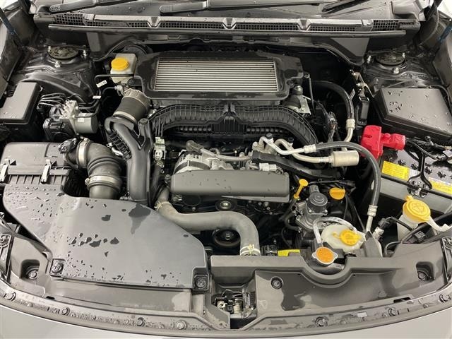 Subaru LEVORG 2021 7275476-19