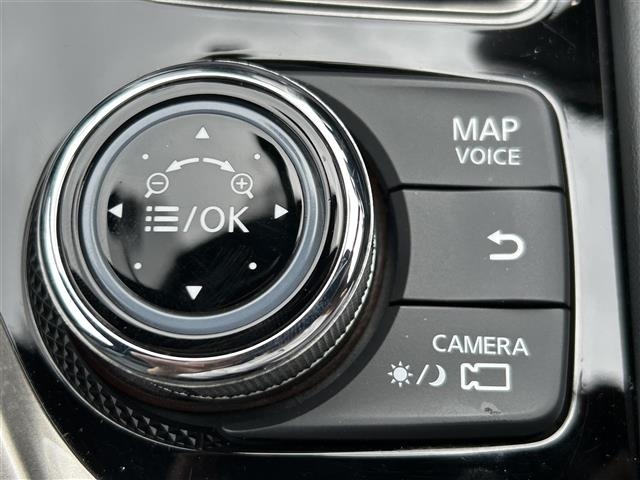 Nissan SKYLINE 2021 7281131-11