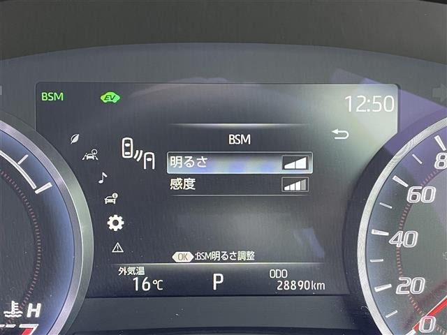Toyota CROWN 2019 7316421-17