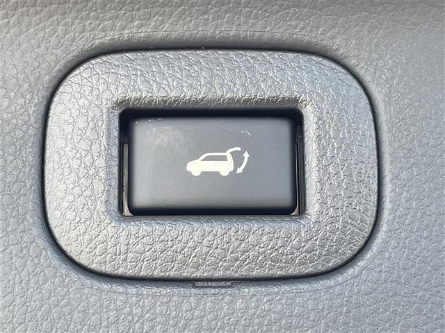Nissan ELGRAND 2020 7304078-18