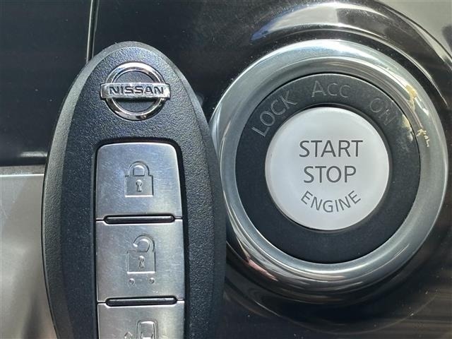 Nissan ELGRAND 2016 7304197-8