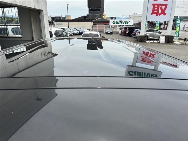 Nissan ELGRAND 2011 7304198-23