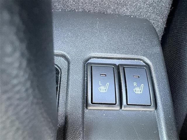 Nissan ELGRAND 2007 7304215-9