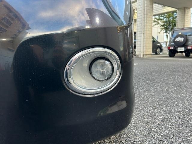 Nissan ELGRAND 2009 7304276-10