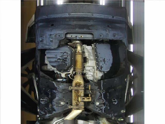 Nissan ELGRAND 2015 7304363-10