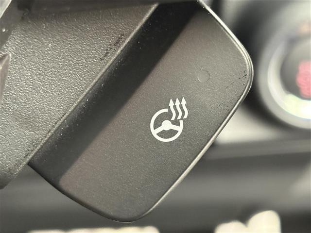 Subaru FORESTER 2021 7299769-22