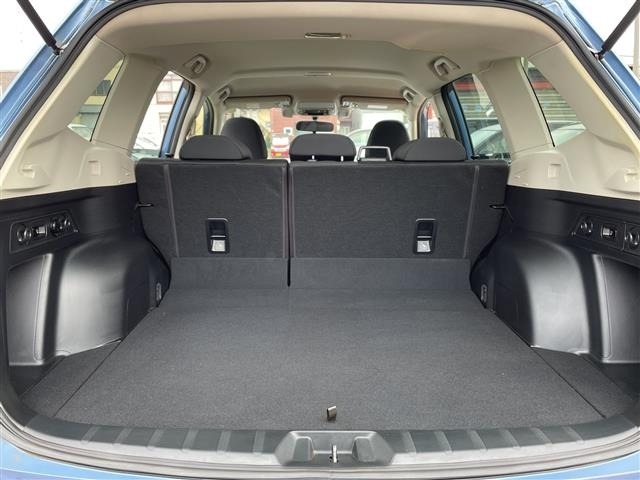 Subaru FORESTER 2021 7299973-20