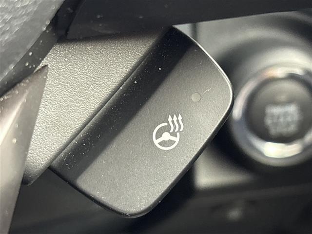 Subaru FORESTER 2021 7299974-1