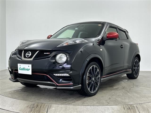 Nissan JUKE 2013 7302047-7